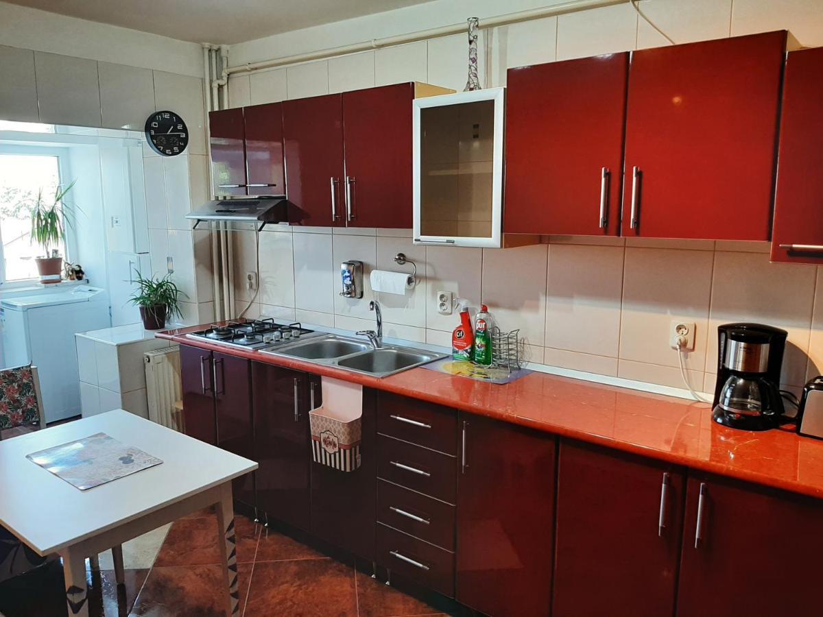 Ultracentral,Parcul Catedralei,Apartament 2 Camere Bacau Ngoại thất bức ảnh